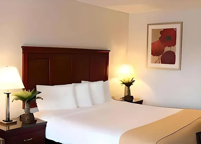 Hotel E Real